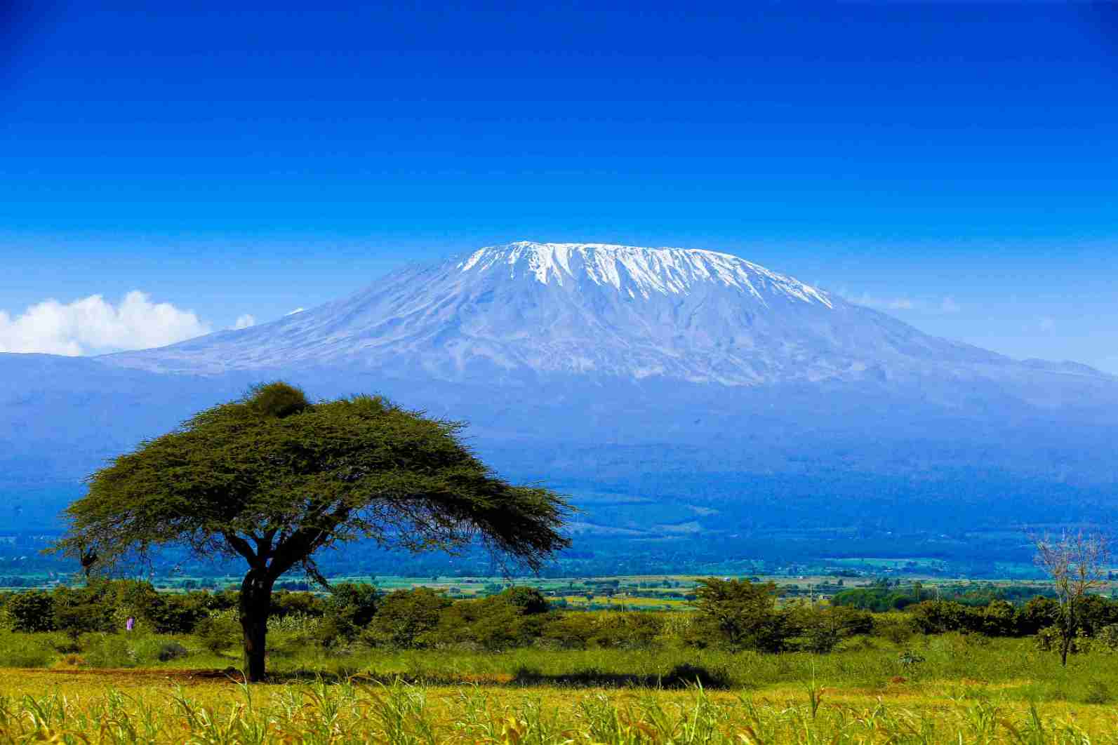 Kilimanjaro tansania